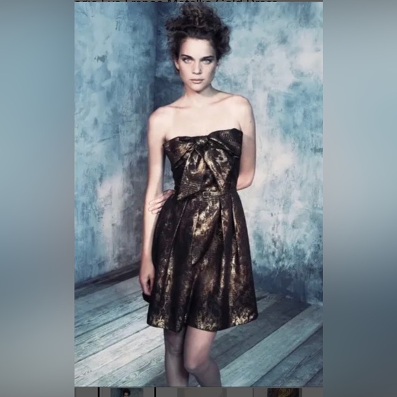 RARE Anthropologie Eva Franco Samhain  Metallic Strapless Pleated Dress - Picture 12 of 12